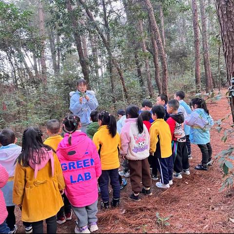 东风实验学校附属铁山坪幼儿园大班森林课程《粘土压花》