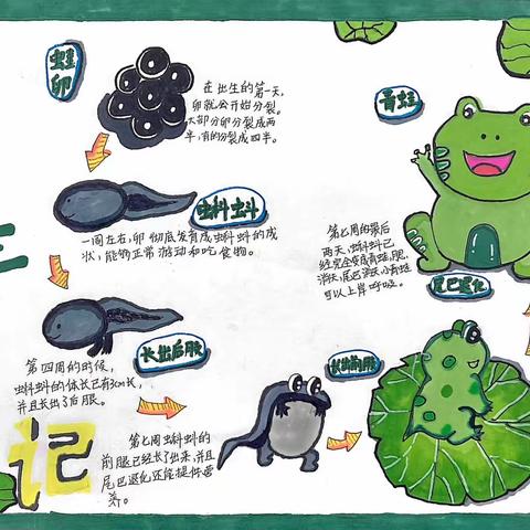 “靓”特色作业，“展”创意风采