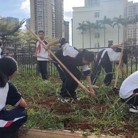 蒙自二中劳动教育