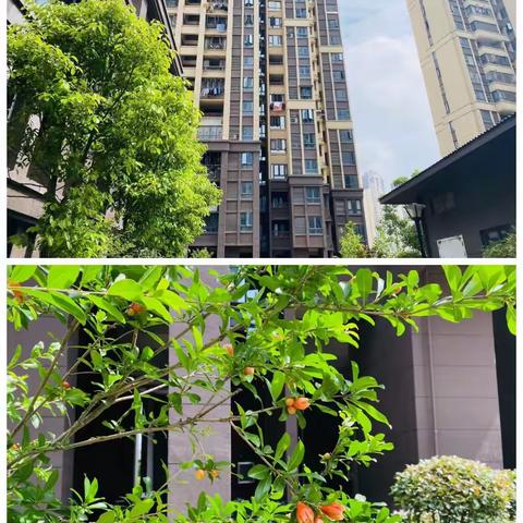 都市申新花园七月工作简报