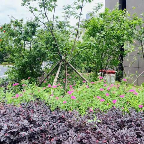 都市申新花园八月工作简报