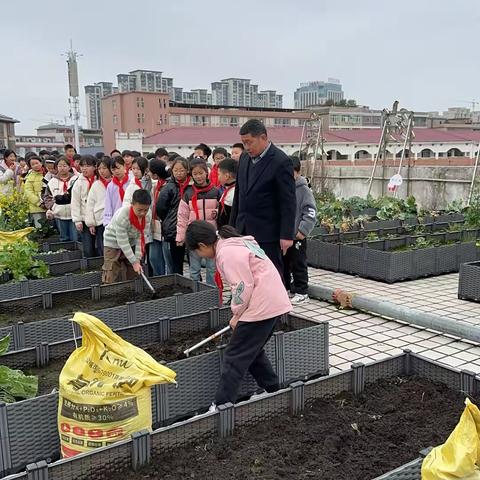 劳动励心智，实践促成长