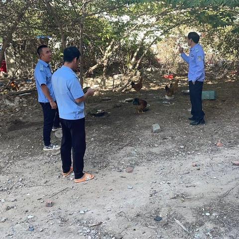 “我为群众办实事”处理家禽散养工单