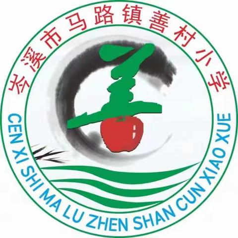 以检查促规范，以规范促提升——马路镇善村小学2023年春季期教师教学常规检查