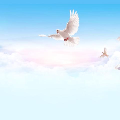 宿北中学8月份“党员活动日”