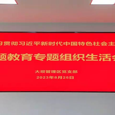 深入学习贯彻习近平新时代中国特色社会主义思想——大坝党支部召开主题教育专题组织生活会