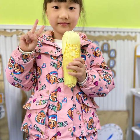 五月——“你好，玉米🌽”