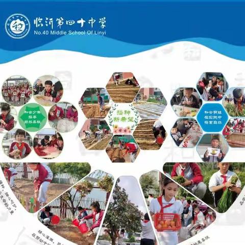 劳动真发生 教育不虚行——教育部课程教材研究所实验区劳动教育现场会