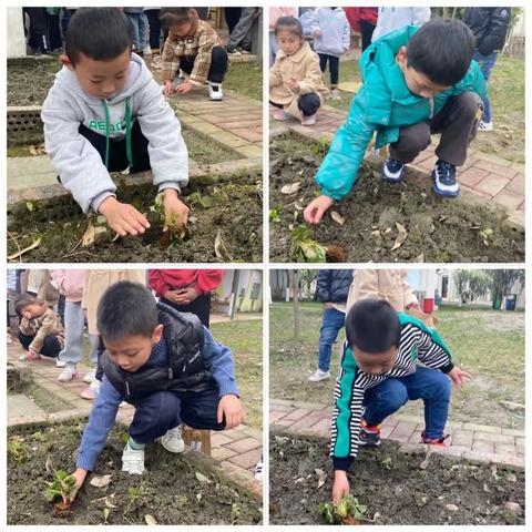 中兴学校新益幼儿园大四班《第八周的快乐时光🤣🤣》