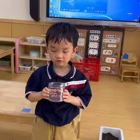 北辰一幼小二班第十一周周小结