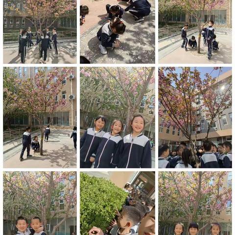 春日暖阳·向阳而生