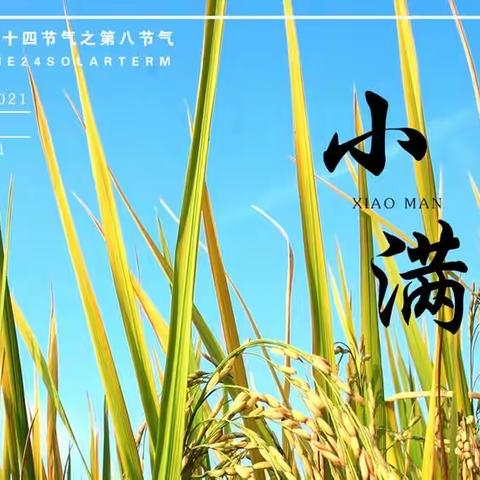 小满的由来——百龙跨世纪幼儿园升国旗仪式