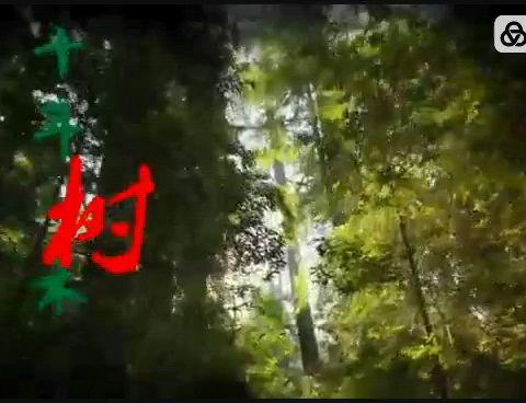 桦南县第七小学一年级招生简章