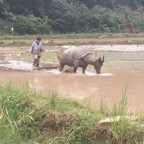 不负春光不负农，春耕备耕正当时