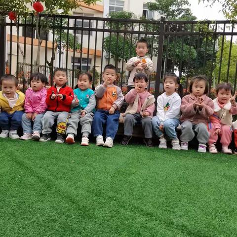 金阳光幼儿园苗班第九周活动