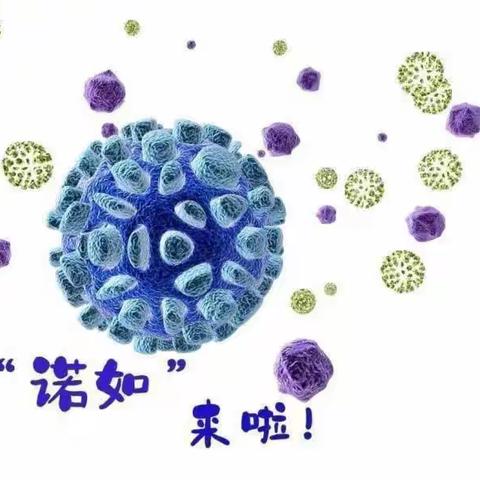 预防诺如病毒🙅关爱幼儿健康👼——金阳童年幼儿园