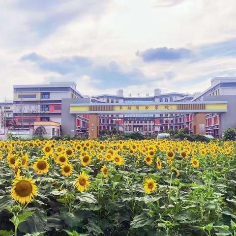 【单县湖西学校】党建引领|听课评课促成长，凝心聚力战中考