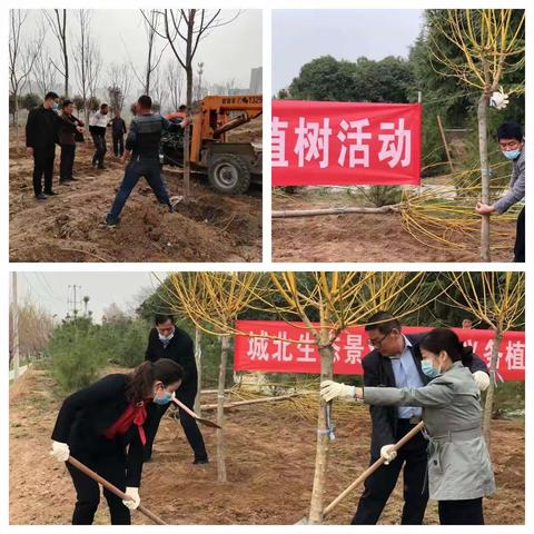 阳春三月，正“植”好时节                     花开莽山,“景”到你我他！