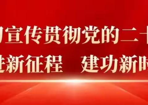 【都党乡】学思践悟强党性，砥砺奋进新征程——都党乡开展2月份主题党日活动