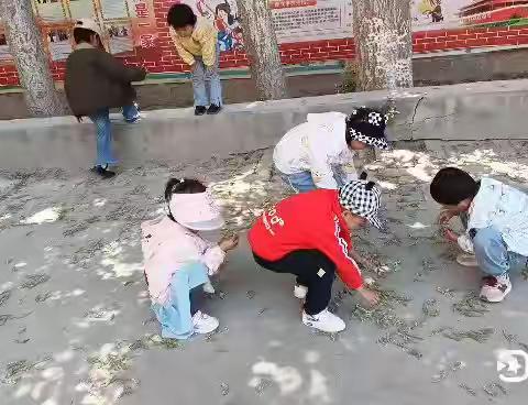 宝贝们的一周生活