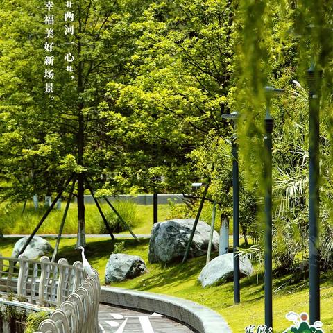 「温江综合行政执法」城市精细管，提升幸福感