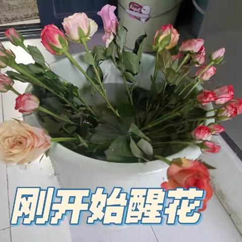 花香四溢 美润童心