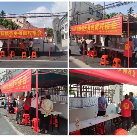 椰林镇劳务供需对接会（第二期）