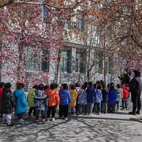 青州实验中学附属幼儿园小四班3月总结