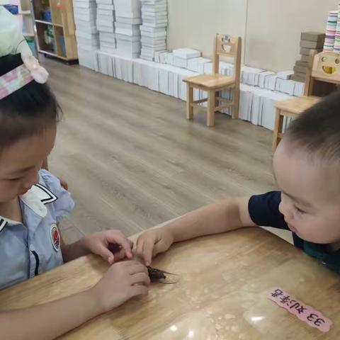 实验中学附属幼儿园小四班7月总结