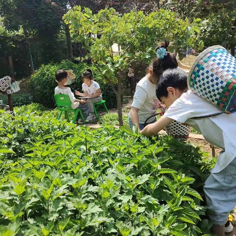 无数个日子里的某一天之记录