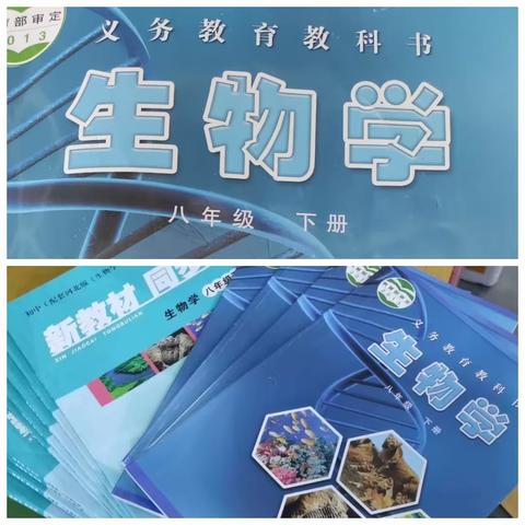 新启航新征程——新华世纪中学八年级生物组美篇