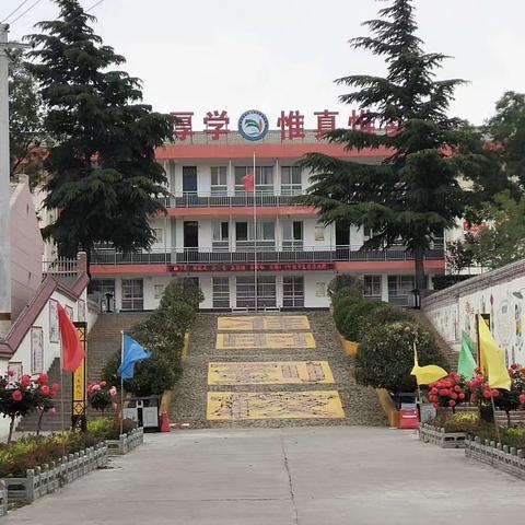 【美好教育在发展】“携手护苗，健康成长”——金峪镇中心小学开展“护苗行动”主题班会活动