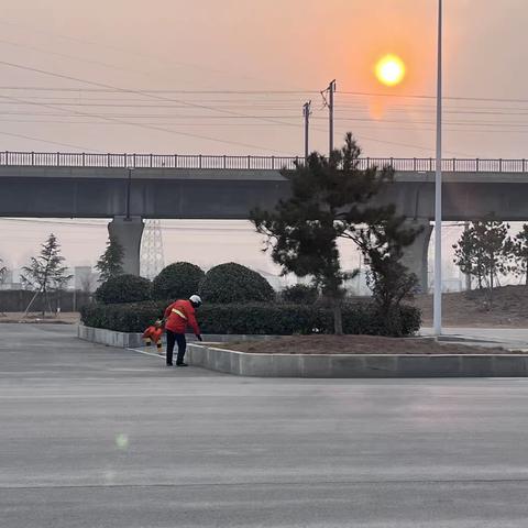 安阳县高庄镇城市清洁行动进行中……