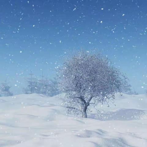 文庙社区：清雪倡议书
