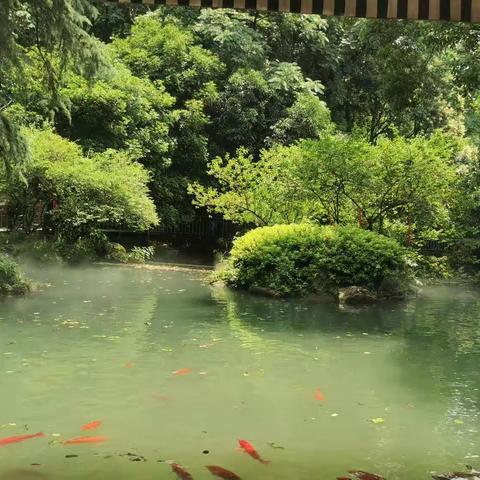 唱歌4班的快乐时光——快乐歌唱