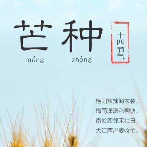 芒种至，仲夏始—汉台区七里中心幼儿园小二班“芒种”节气活动