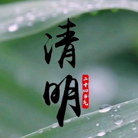 雨花 2020级清莲朵朵班的美篇