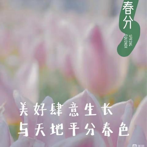 二十四节气之春分