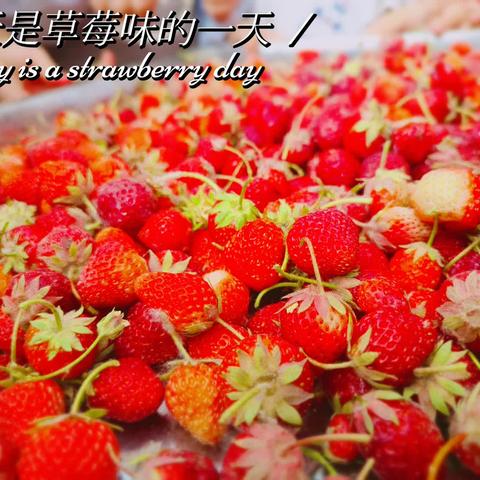 种一份希望，收满眼“莓”好