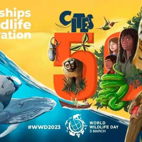 “广泛发动社会力量，共同推进物种保护”世界野生动植物日———红领巾学校CBD校区