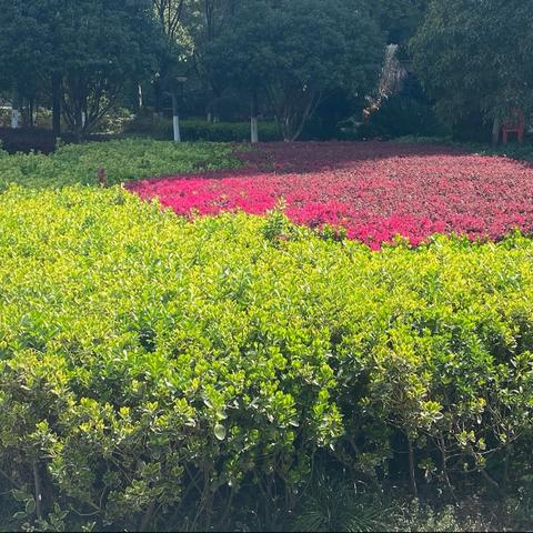 2023年悦豪物业壹号府邸小区三月月报