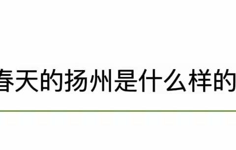 孩子们关于“春日的扬州”讨论——大三班谈话活动实录