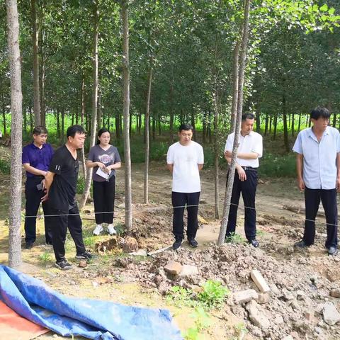 直击热线——太平街道督查组联合各部门现场处理12345热线工单