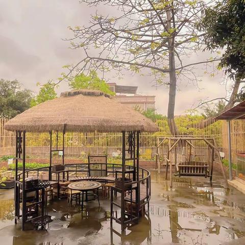 小二班 采摘活动