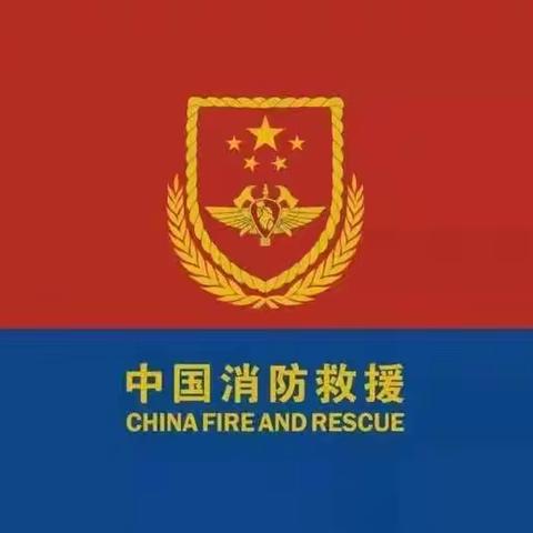 喜报—山阳县消防救援大队团支部荣获“商洛市五四红旗团支部”荣誉称号