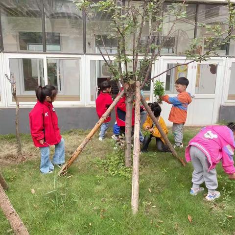 拔草护绿，从我做起——竹韵幼儿园大二班拔草记