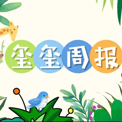 【玺玺周报】滕州市实验幼儿园玺园中班组精彩回顾（2024.12.9-12.13）