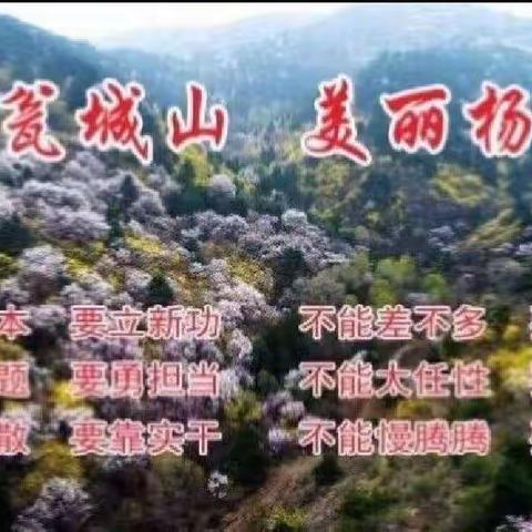 “踏青闻香”瓮城花海，网格服务保平安！