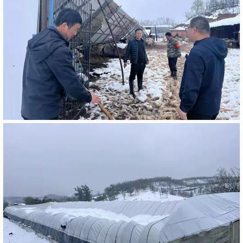 降雪突袭，杨安乡网格员织密“救援网”