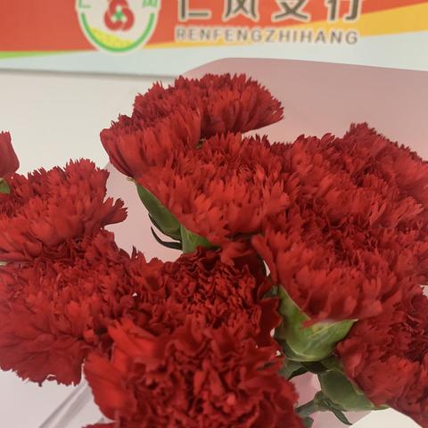 献礼母亲节，我们在您身边——济阳农商银行仁风支行